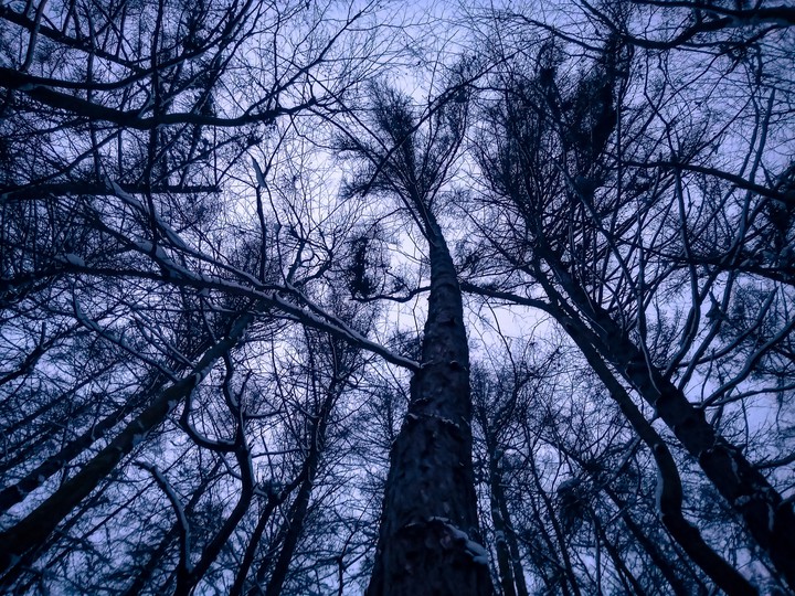 Dark winter