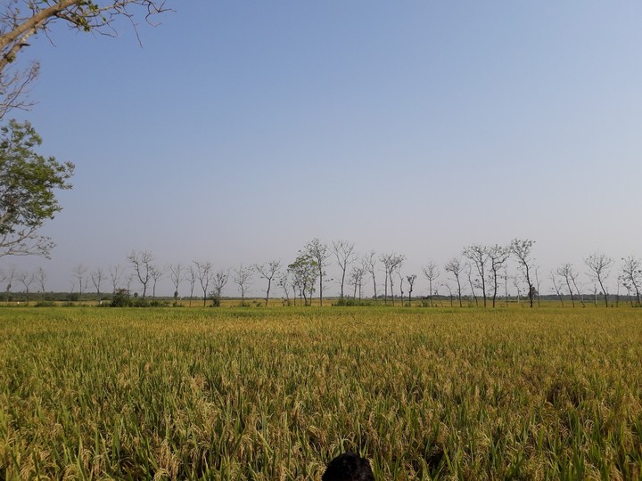 my click