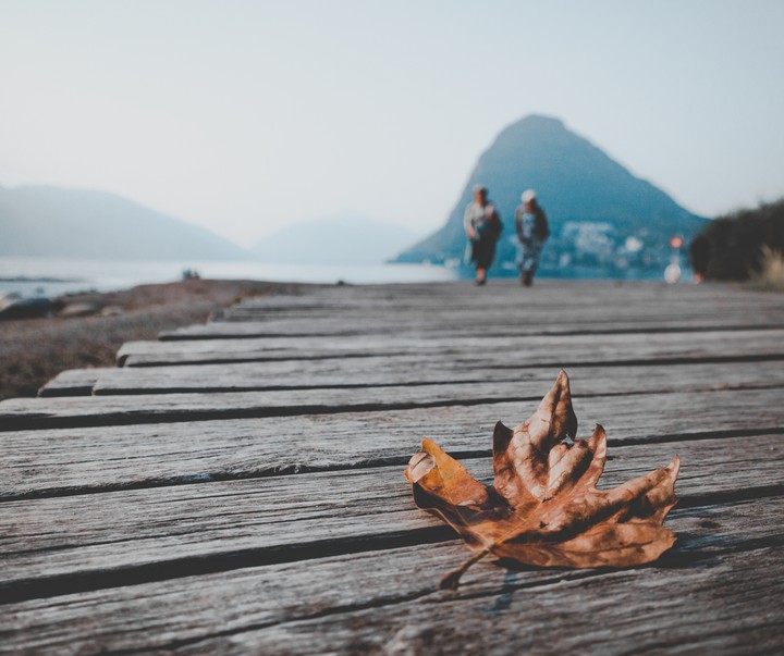 Autumn