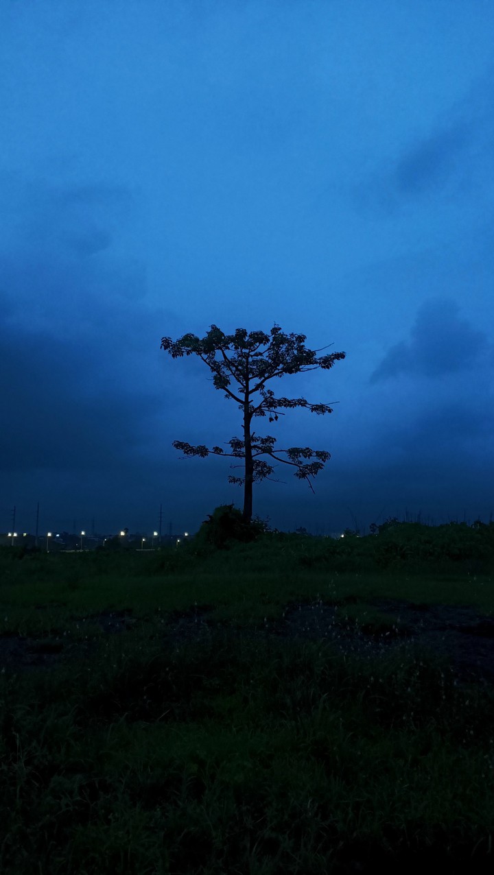 Blue Hour