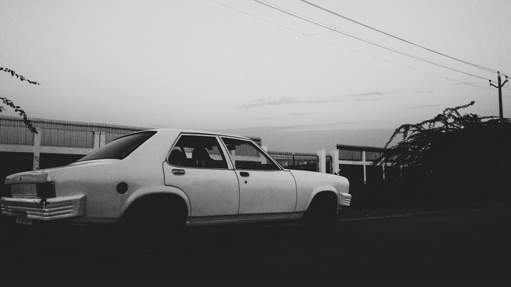 Contessa.