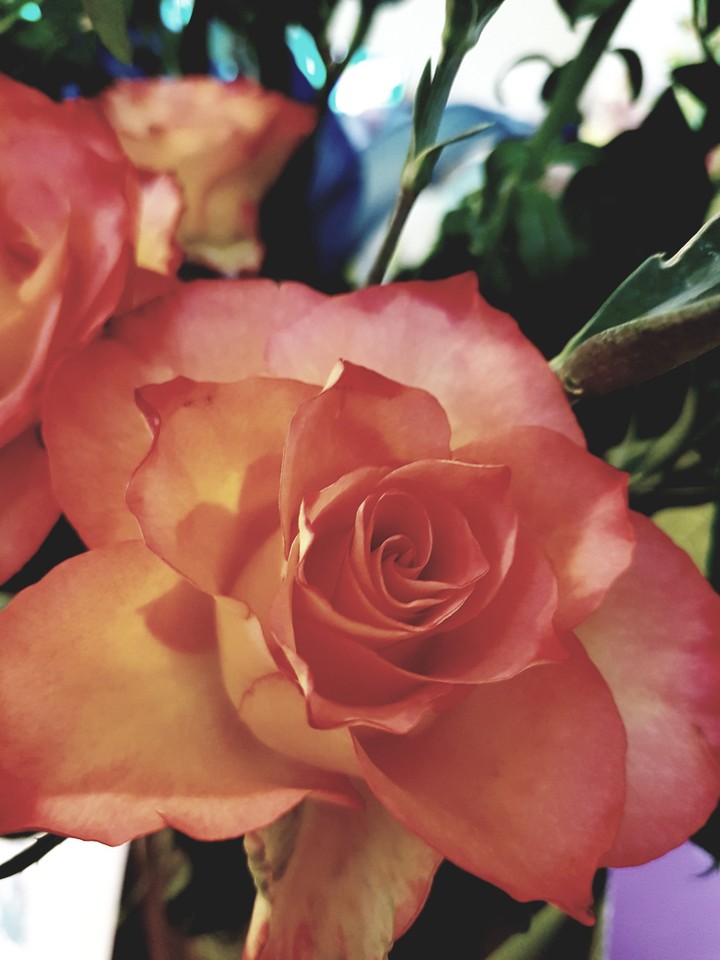 flowers