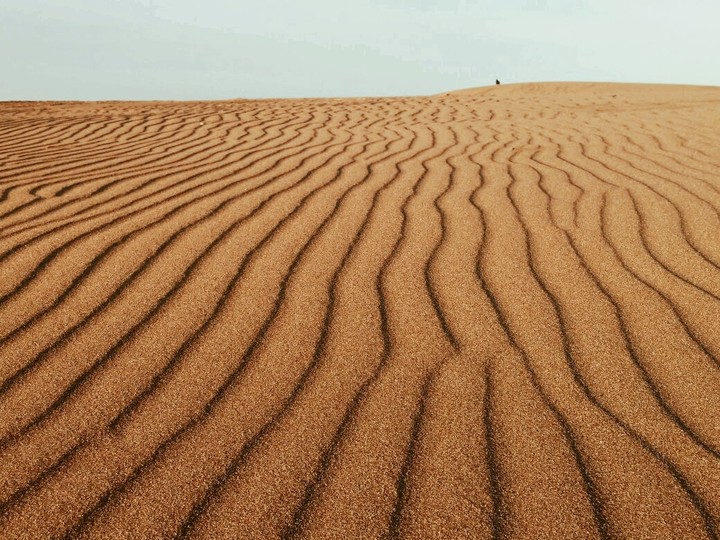Horizonte