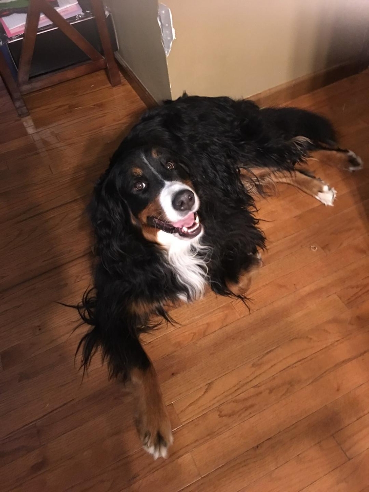 Zeena, Sept. 2018