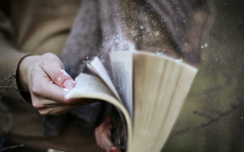 Book
