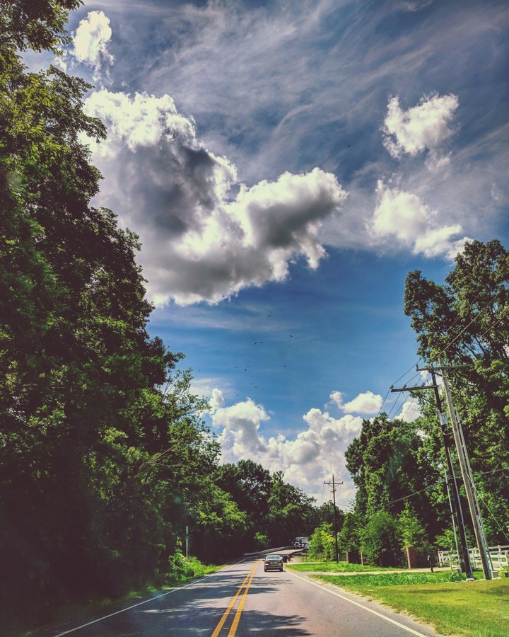 trip
