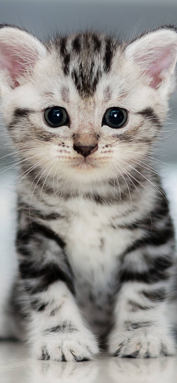 mine