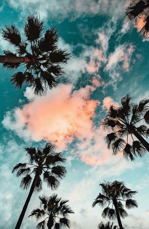 Feel the sky and its scent of freedom