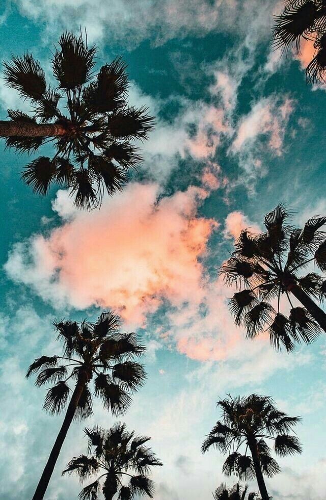 Feel the sky and its scent of freedom