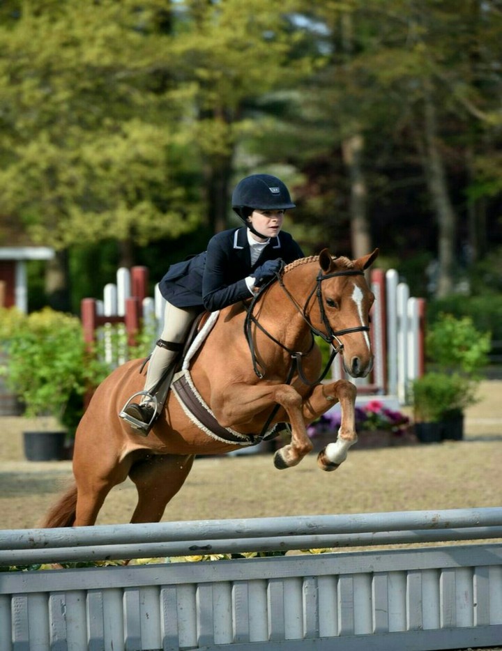 Horse riding