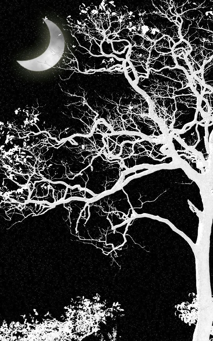 Dark Night