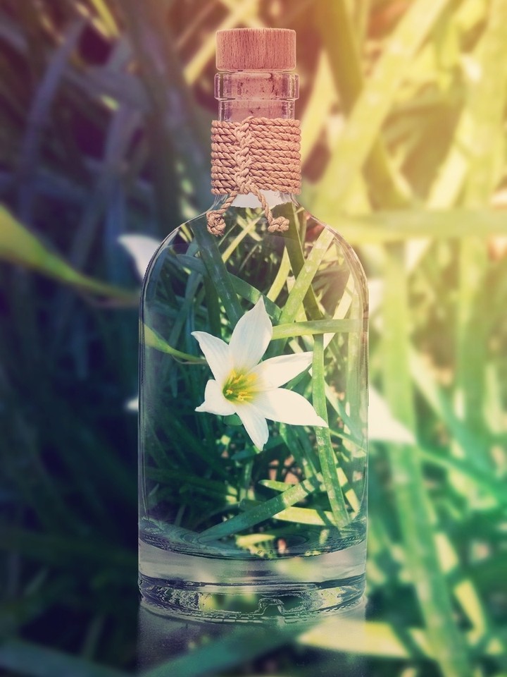 bottle