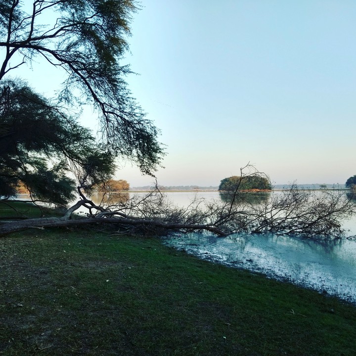 Nature