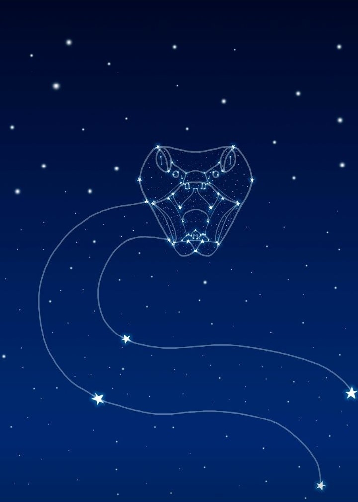constellation serpent ???