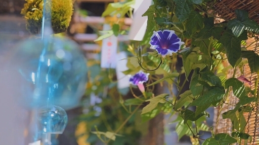 Wind chimes