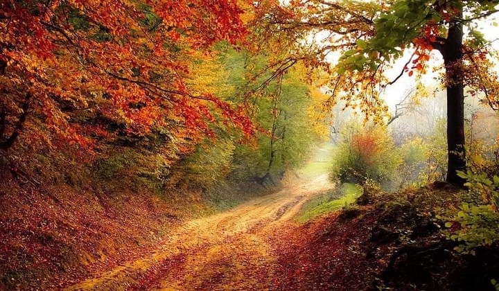 Berovo, Malesh Mountains, Macedonia