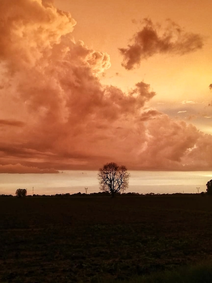 atardecer de verano