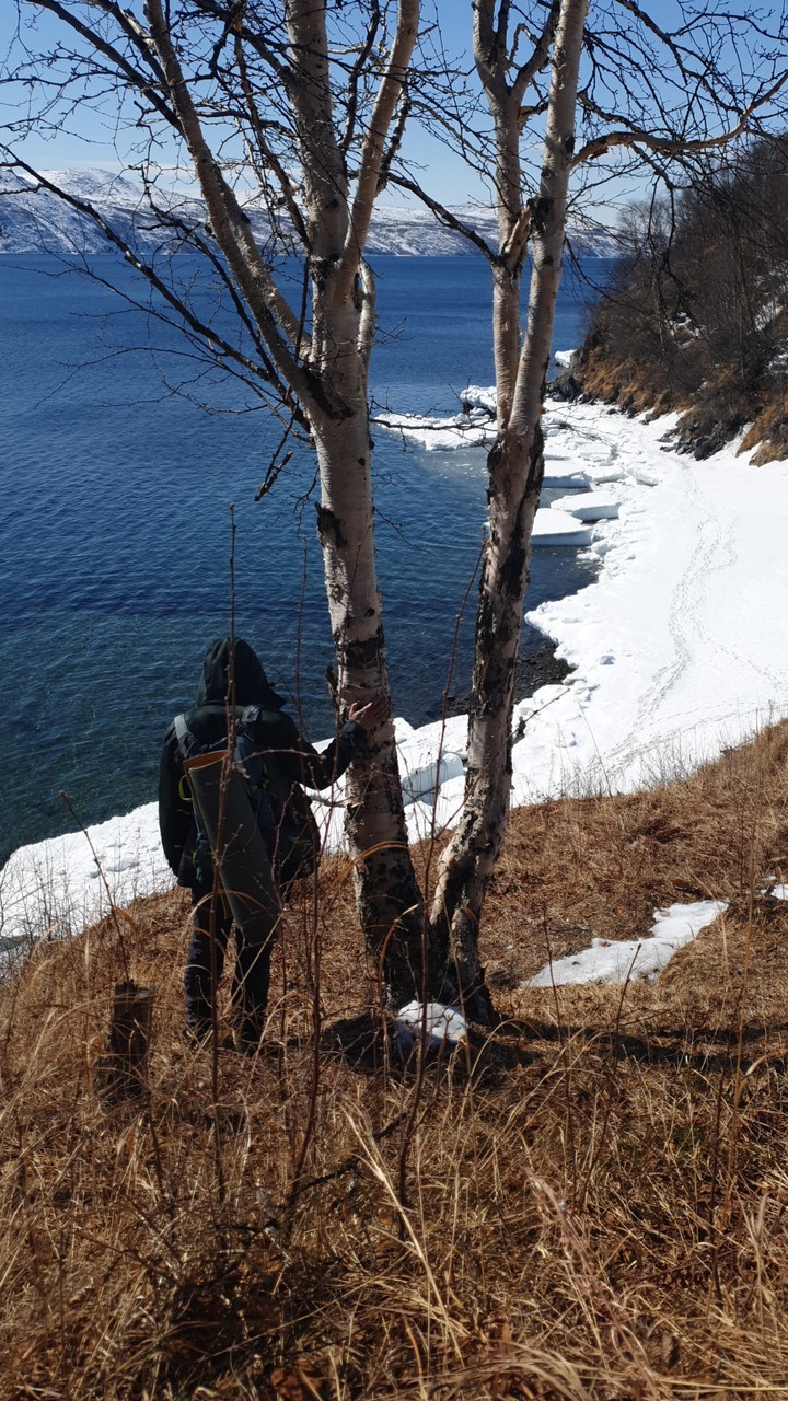 spring in the north