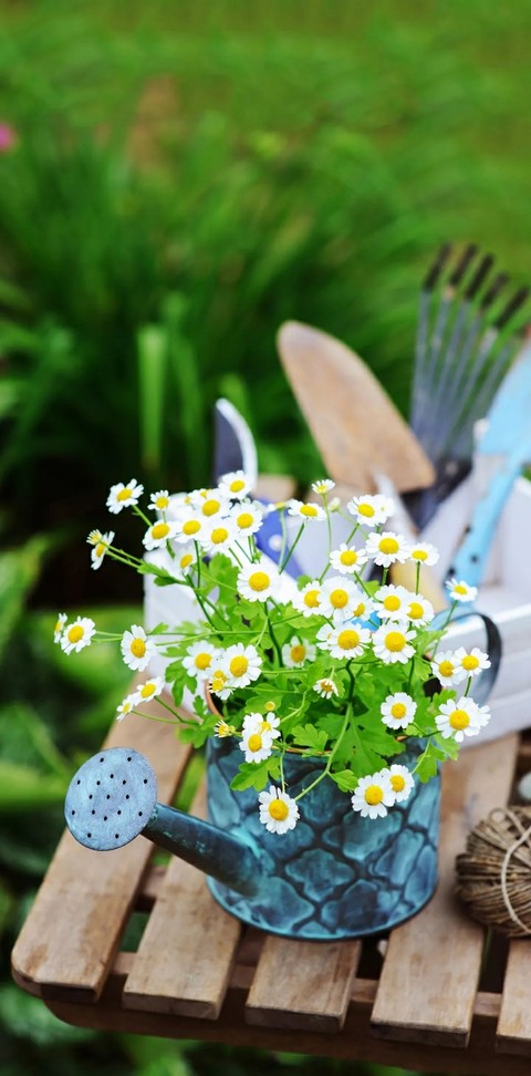 flower kettle