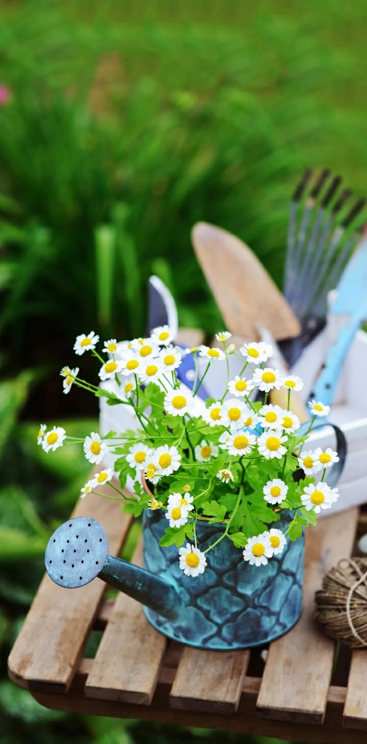 flower kettle