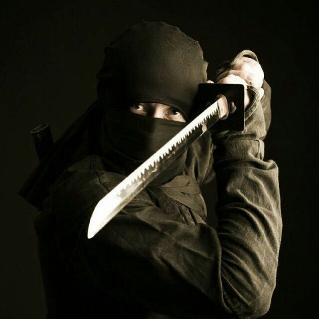 ninja