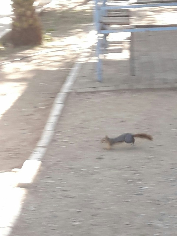 hiçbir