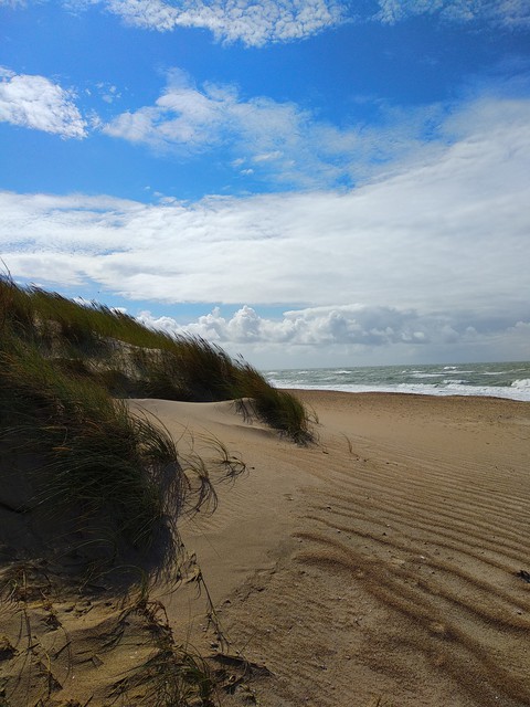 Meer