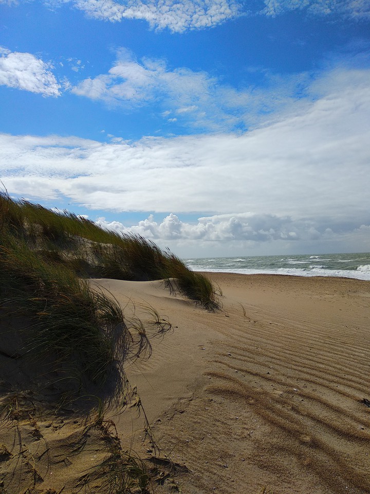 Meer