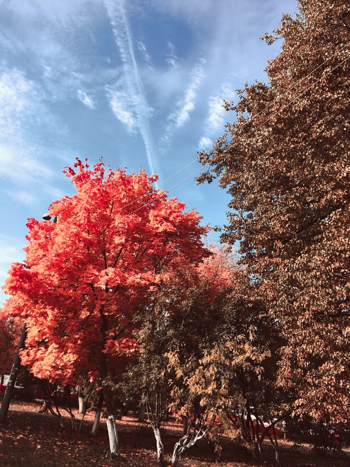 nature