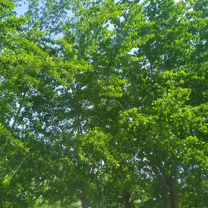 Первый день лета ☀. First day of Summer