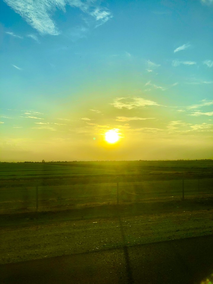 Atardecer en la siembra