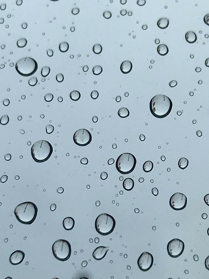 gotas