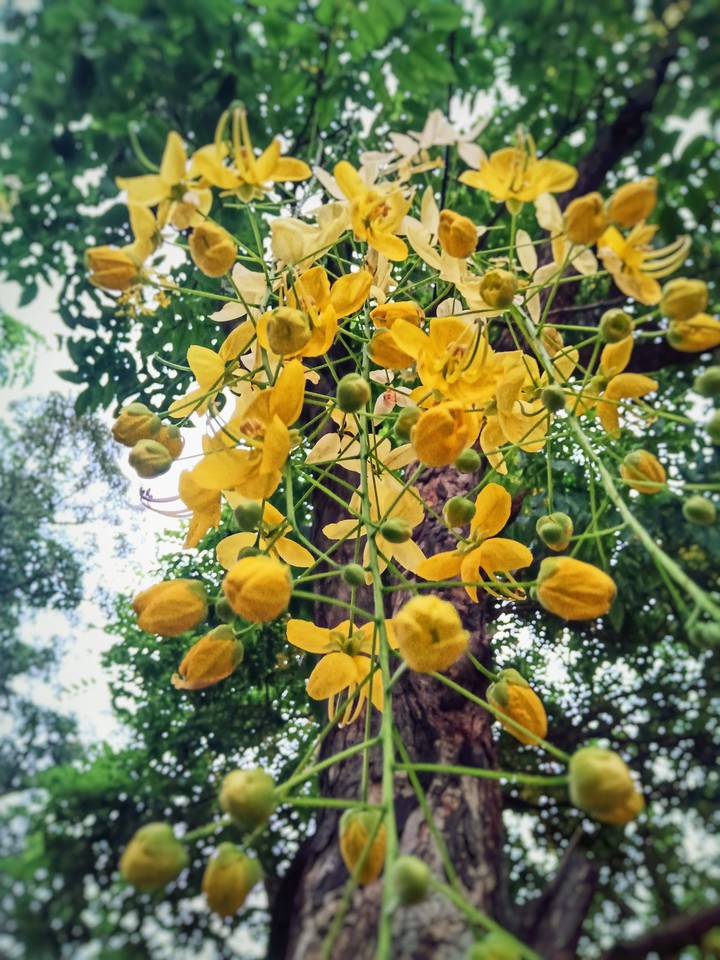 Nature's beauty