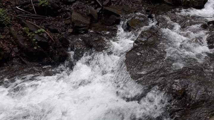 Transcarpathia