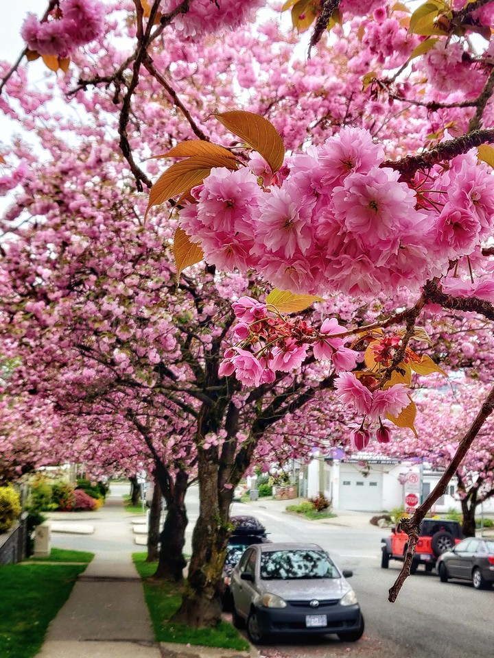 Beautiful British Columbia