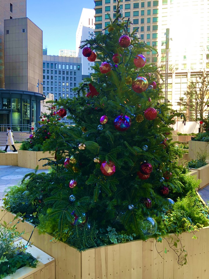 Xmas tree in hibiyasyante