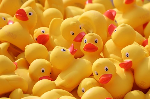 Yellow, ducks wallpapers