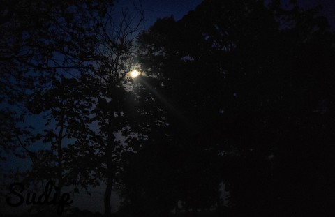 midnight moon