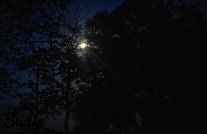 midnight moon