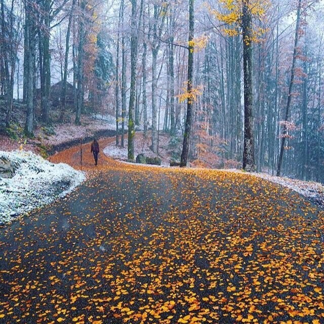 autumn