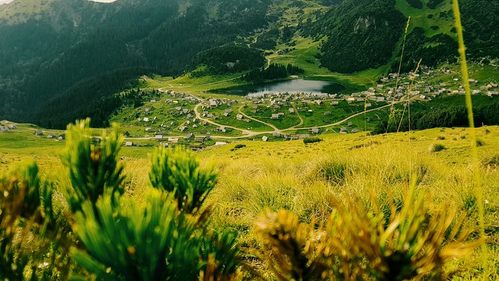 Nature