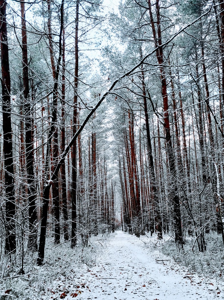 winter