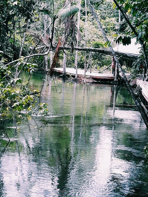 Lagoa