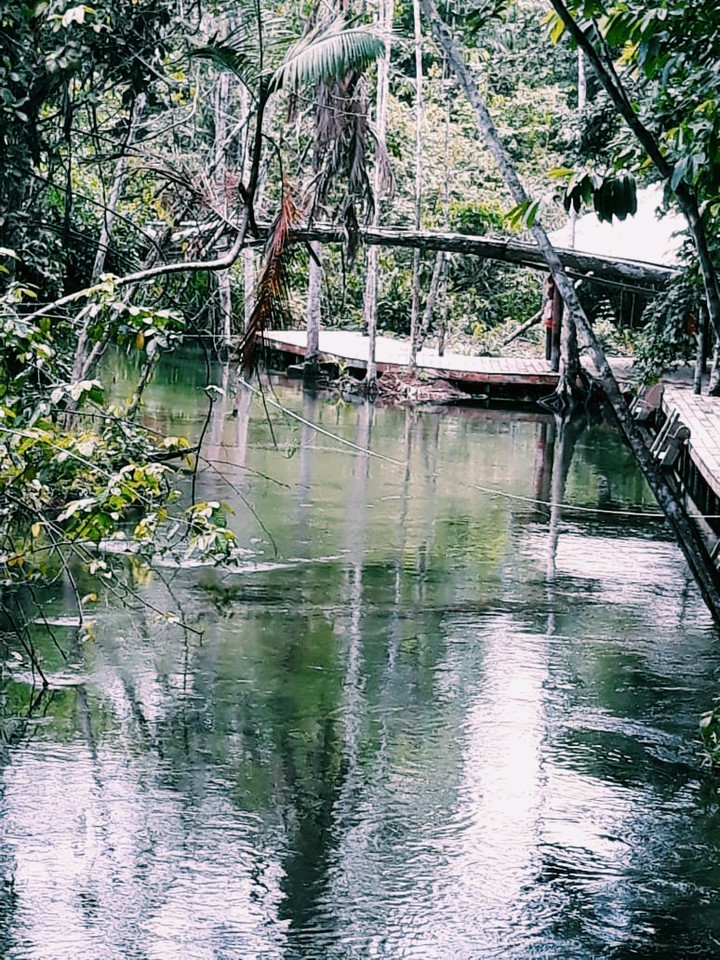 Lagoa