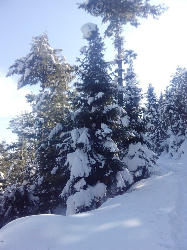 snow