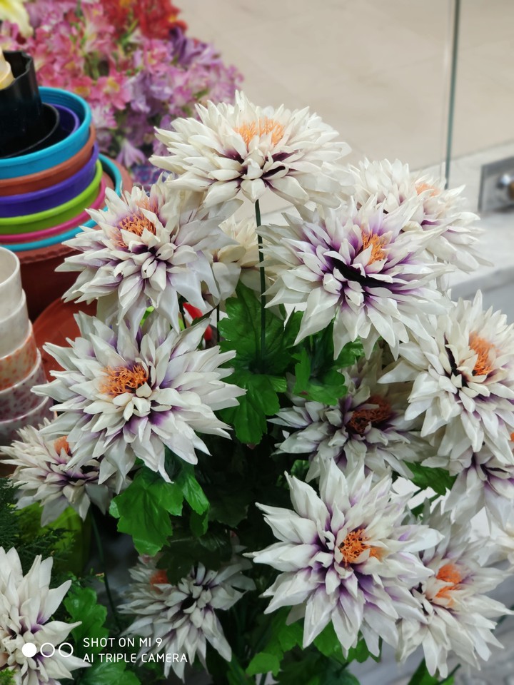 flower