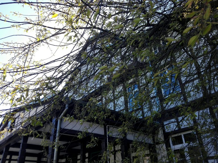 Białogard