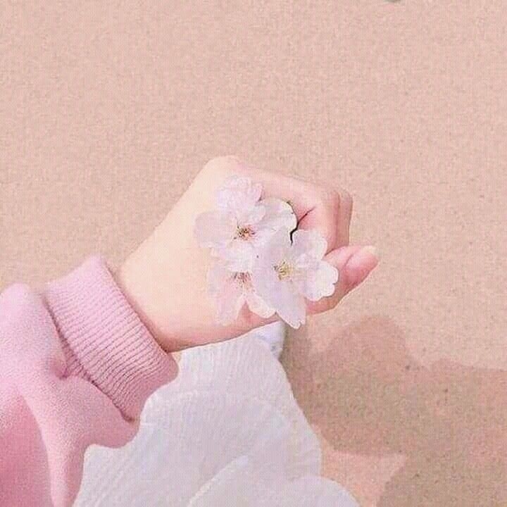 Flori