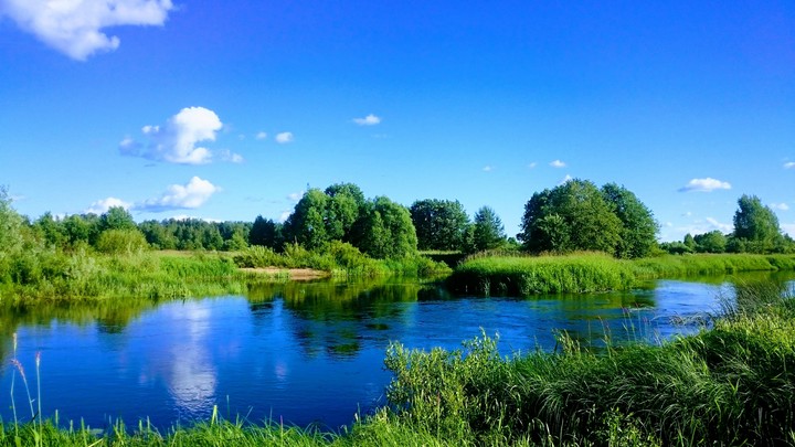 nature