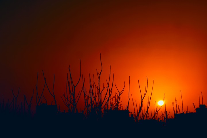 bloody sky